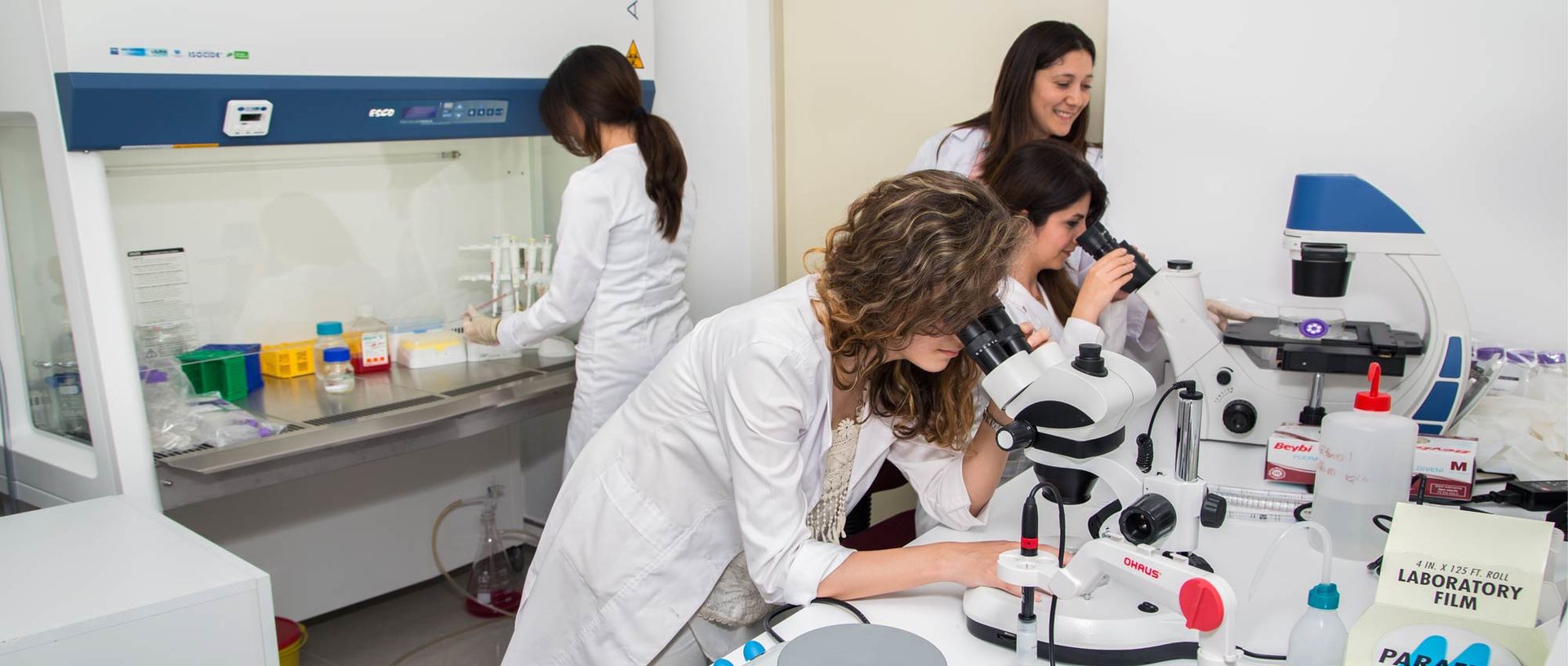 Pharmacy (Pharm.D.) Undergraduate Program (Joint Program with Kerman  University of Medical Sciences) | Eastern Mediterranean University (EMU),  Cyprus