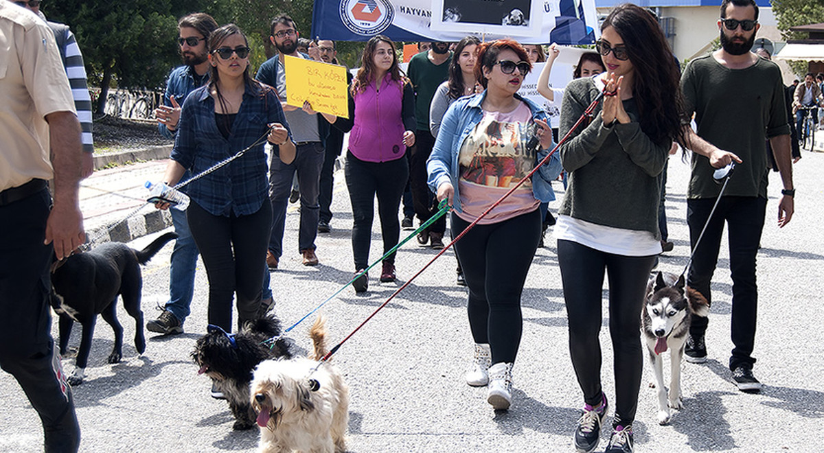 A Walk for a Meaningful Cause: We Want an Animal Friendly Campus